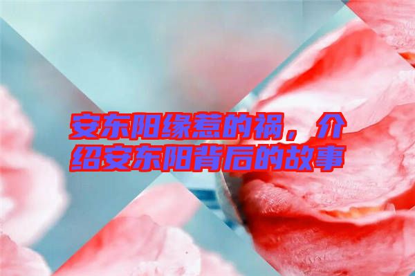 安東陽緣惹的禍，介紹安東陽背后的故事