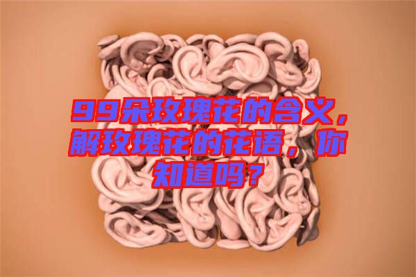 99朵玫瑰花的含義，解玫瑰花的花語，你知道嗎？