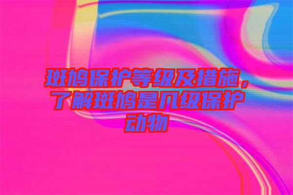 斑鳩保護等級及措施，了解斑鳩是幾級保護動物