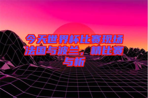 今天世界杯比賽現(xiàn)場(chǎng)法國與波蘭，精比賽與析