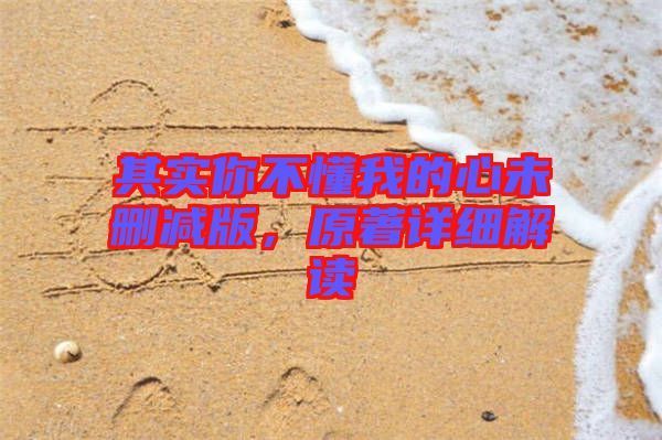 其實(shí)你不懂我的心未刪減版，原著詳細(xì)解讀